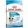 Royal Canin Size Health Nutrition Mini Puppy Alimento Secco per Cucciolo di Taglia Piccola Formato 800 g