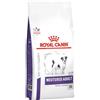 Royal Canin Cane Size Mini Neutered Adult Alimento Secco Crocchette Dietetico per Cani Castrati Peso-10Kg Formato Sacco 1,5 Kg