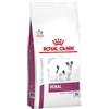 Royal Canin Cane Diet Renal Special Alimento Dietetico Secco Crocchette per Cani di Piccola Taglia Sacco da 1,5 kg