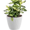 Prosperplast Vaso da fiori 2,3L Sandy P 16,8x16,8x15,7 cm, Bianco