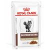 Royal Canin Veterinary Diet KIT 12x Royal Canin V-Diet Gastrointestinal Fibre Response per Gatti - 85 g, 12 pezzi - PREZZO A CONFEZIONE