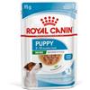 Royal Canin Veterinary Diet KIT 12x Royal Canin Puppy Mini Umido per Cani - 85 g, 12 pezzi - PREZZO A CONFEZIONE
