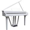 Echord GP-10W Bianco Lucido