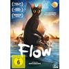 MFA+ Cinema Flow