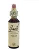 NATUR Srl BACH CENTER ESS HOLLY 20ML