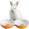Navaris Ciotola Doppia Ceramica - Ciotole per Cani e Gatti Cuccioli - Adatta a Conigli e Porcellini d'india - per Animali di Piccole Dimensioni - Set Cibo e Acqua - Arancione