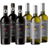 Giordano - BOX PIZZICANTO - Confezione da 2 Tipologie di Pizzicantino tra Pizzicanto Primitivo Rosso e Pizzicanto Chardonnay Bianco - 6 Bottiglie da 75 cl
