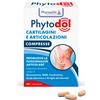 Pharmalife Research Phytodol Cartilagini e Articolazioni Integratore Funzione Articolare, 60 Compresse