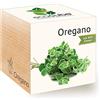 Feel Green - Eco cubo Ecocube origano, Semi biologici, Idea Regalo sostenibile, 100% Ecologico, Kit per Crescere piantine in Un Dado in Legno, Prodotto in Austria