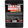 FlorioSport Creatina Monoidrato Micronizzata 200 Mesh in polvere 500g FlorioSport - Integratore Alimentare, Favorisce l'aumento della potenza muscolare e della forza.