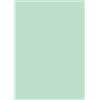 Brefiocart Cartellina semplice Brefiocart Color 24,5x35 cm cellulosa 200 g/m² verde menta chiaro - conf. 50 pz - 0205510.VC