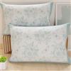 PETTI Artigiani Italiani - Coppia di Federe Cuscino 50x30 cm in Microfibra, Cuscini Arredo Camera da Letto, Divano, Salotto, Set 2 Fodere Copricuscino, Federa Botanic 03 Celeste, 100% Made in Italy