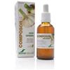 SoriaNatural Compositore 13 Oxiur Complex di Soria Natural