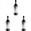 Balbiano Freisa di Chieri Doc - 750 ML (Confezione da 3)