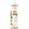 FLORA Shampoo "Capelli Delicati" BIO-BDIH 1 L - Con Camomilla, Aloe Vera, Miele & Oli Essenziali Agrumati, pH 5,5, Tensioattivi da Cocco & Zuccheri, Lavaggi Frequenti su Cute Sensibile