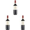 Coppo Barbera d'Asti "l'Avvocata" Docg - 750 ML (Confezione da 3)