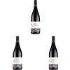 Vinchio & Vaglio Serra Dolcetto Piemonte "San Giorgio" Doc - 750 ML (Confezione da 3)
