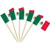 AhfuLife 100 Bandiera Stuzzicadenti Messicani da Cocktail, Bandiere Stuzzicadenti per Panini, Cibo, Tazze di Carta, Torte, Frutta, Forniture per Feste, Decorazioni Bar (100 pezzi, Messico)