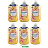 Beni Culinari 6 ammorbidenti Coccolino XXL Fresh & Protect, legno di sandalo e caprifoglio, ammorbidente concentrato, 76 lavaggi, 1750 ml + portachiavi Beni Culinari