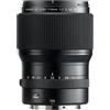 FUJIFILM Fujinon gf 110/2 r lm wr