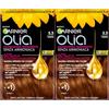 Garnier Olia Tinta Capelli Permanente Senza Ammoniaca Colorazione con Oli di Fiori di Origine Naturale ad Azione Illuminante e Nutriente Colore 5.3 Castano Dorato - 2 Confezioni