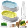 TYXJJ-BF Semi erba gatta Kit, 2 Erba Gatta Vaso Germinante Kit Erba Gatta Semi, Vaso, per Gatti Stimolante e Digestiva, Adatto a Tutti i Gatti(Semi - 10-15Cm)