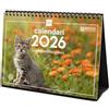 Finocam - Calendario da tavolo 2026, vista mensile, gennaio - dicembre 2026 + settembre 2025 (4 mesi) ridotto, calendario 2026, immagini di gattini, catalano