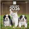 Finocam - Calendario da parete 2026, 30 x 30 cm, vista mensile, gennaio - dicembre 2026 + settembre 2025 (4 mesi) ridotti, calendario 2026, immagini cani e gatti, catalano