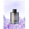 Ceeniu Ricarica Profumo Dedicata CF3-135 ml - Utilizzabile per 4-8 mesi - Realizzata con Estratti Naturali di Piante - Profumo Importato dalla Francia - Estate a Roma