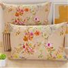 PETTI Artigiani Italiani - Coppia di Federe Cuscino 50x30 cm in Microfibra, Cuscini Arredo Camera da Letto, Divano, Salotto, Set 2 Fodere Copricuscino, Federa Spring Cipria, 100% Made in Italy