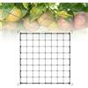 Dunkwckore Rete per Piante Rampicanti, 60×60 cm Supporto Piante Tenda, Rete Elastica Traliccio Giardino con 4 Ganci, Griglia Esterno Alte Prestazioni Frutta Crescita Verticale, Extensible 100×100 cm