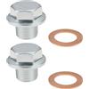 Briny River 2 viti magnetiche per tappo di scarico per moto, M14 x 1,5 mm, compatibili con Simson M500-M700 in acciaio