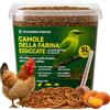 ALEJANDRO FUENTES AF® Camole della Farina Essiccate 800g, 5L Mangime Uccelli Selvatici Tenebrio Molitor 52% Proteine, Snack Naturale per Pettirosso, Cinciallegra e Ricci, Alternativa Farina di Grillo 100% Naturale