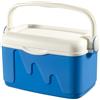 Curver Borsa Termica Rigida Portatile 10L Blu Box Isotermico da Viaggio Picnic