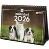 Finocam - Calendario da tavolo 2026 Mese Vista Gennaio - Dicembre 2026 + Sep.- Dic. 2025 (4 mesi) ridotti | Calendario 2026 | Immagini Cani e gatti - Catalano