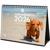 Finocam - Calendario da tavolo 2026 con vista mensile da gennaio a dicembre 2026 + settembre 2025 (4 mesi) ridotto | Calendario 2026 | Immagini cuccioli - spagnolo