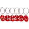 NanTun Targhette numerate in alluminio con portachiavi, confezione da 100, numeri da 1 a 100, colore: rosso