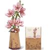 rowood Sakura Fiore Artificiale in Legno 3D Puzzle Set di Artigianato per Adulti Bambini Fiore in Legno Set di Modelli per Decorazione Casa Idea Regalo Creativa per Festa della Mamma San Valentino
