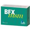 BIOFARMEX Srl BFX MSM 30CPR