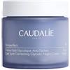 CAUDALIE ITALIA Srl VINOPER CREMA NOTTE ANTIMACCH