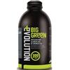 Big One Evolution Professional Dietetics Big Green Evolution 300 Compresse