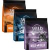 Wild Freedom Set prova! Wild Freedom Crocchette per gatto - 3 x 400 g Adult: Pollame, Salmone, Anatra