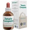 FORZA VITALE ITALIA Srl TAMAFER TAMARIX COMPOST ECOSOL