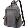 FANDARE Tela Zaino Zaino Porta PC Uomo Borsa Zainetto Donna Zaino Scuola Zainetto Zainetti Cartella Borsa da scuola Università All'aperto Viaggio porta PC 12.9 Pollici Zaino Grigio