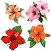 GORGECRAFT 4pz 16cm Ibisco Fiore Finestra Decalcomania Plastica PVC Rosso Arancione Rosa Primavera Fiori Hawaiani Floreale Impermeabile Non Adesivo Rotondo Finestra Adesivi per Finestre Porta
