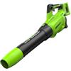 Greenworks 48V(2x24V) Soffiatore Foglie Assiale a Batteria con Motore Brushless, Funzione Turbo, 217km/h, 16,4m³/min, SENZA Batterie e Caricabatterie, Garanzia 3 Anni GD24X2AB