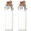 NBEADS 2 Bottiglia Commemorativa per Peli di Animali Domestici, Mini Bottiglia Ricordo Trasparente con Decorazione A Forma di Cuore Regalo di Simpatia Fiala di Vetro per Ceneri, Urna di Pelliccia