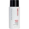 Diego dalla Palma | AMICOFRIZZ - Shampoo Anticrespo Disciplinante con Anti-frizz Complex, Protezione Umidità e Effetto Antistatico, 250ml