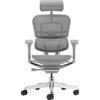 PROCOMFORT ERGOHUMAN Elite Evolution Poltrona ergonomica su Ruote di Ultima Generazione con regolazioni avanzate per Il settaggio della Postura più Confortevole (Silver)