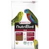 Versele-Laga NutriBird B18 | 3 kg | Alimento complementare per cocorite e altri piccoli pappagalli | Per il benessere generale | Con prebiotici e 35% di miglio